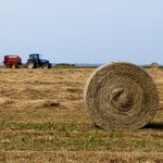 Farm tractor and hay bales